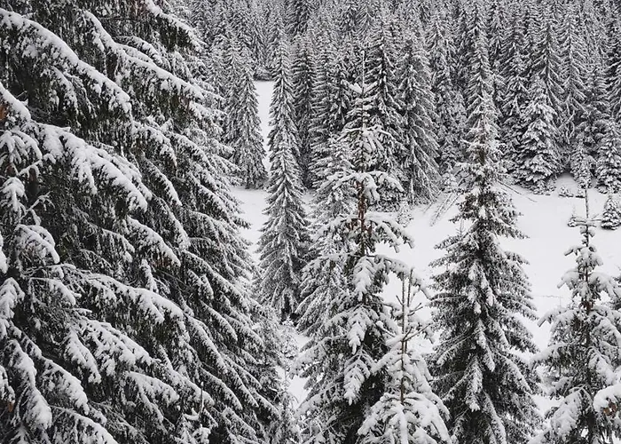 Апартаменты Sun Stream